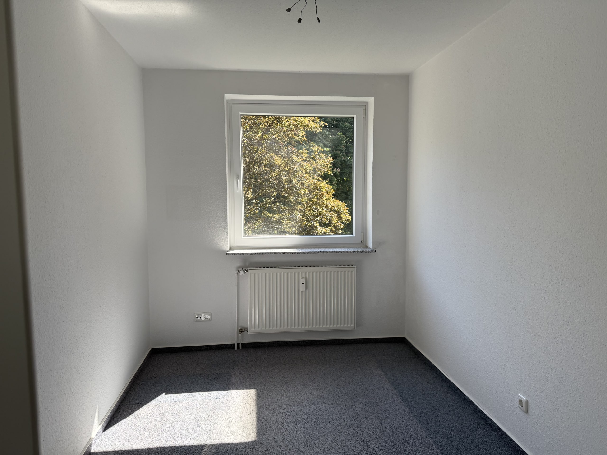 Zimmer
